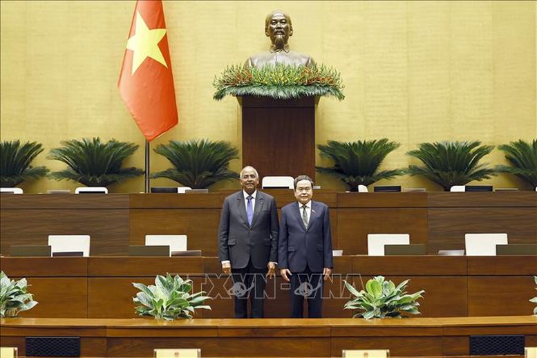 Hợp tác nghị viện là trụ cột, nền tảng quan trọng trong quan hệ Việt Nam - Côte d’Ivoire- Ảnh 8.