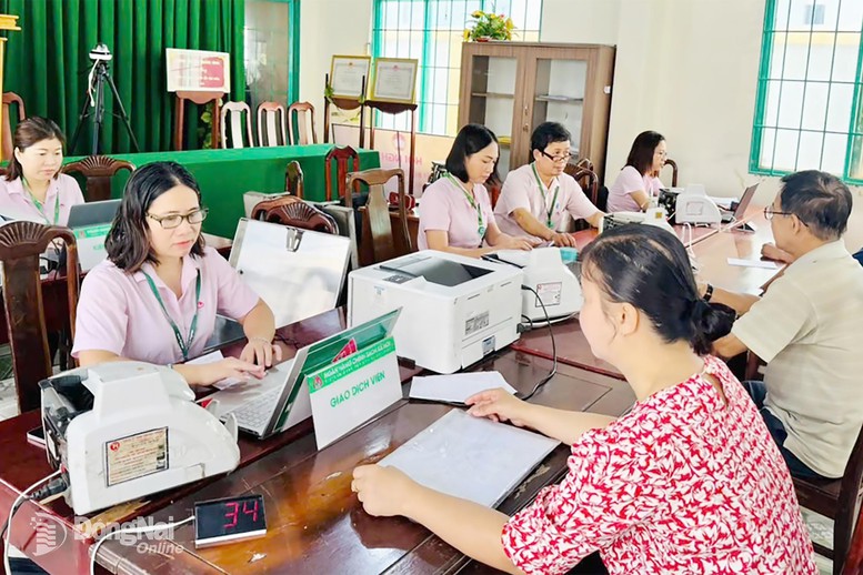 Vốn tín dụng chính sách tiếp sức người dân tạo sinh kế, ổn định cuộc sống- Ảnh 1.