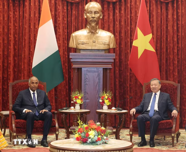 Tổng Bí thư, Chủ tịch nước Tô Lâm tiếp Chủ tịch Quốc hội Côte d'Ivoire Patrick Achi- Ảnh 1.