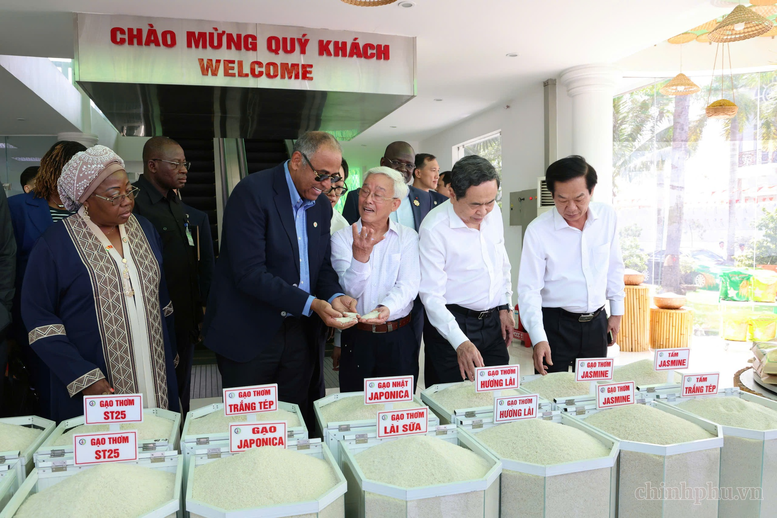 Chủ tịch Quốc hội Côte d'Ivoire tìm hiểu công nghệ chế biến gạo Việt Nam- Ảnh 2.