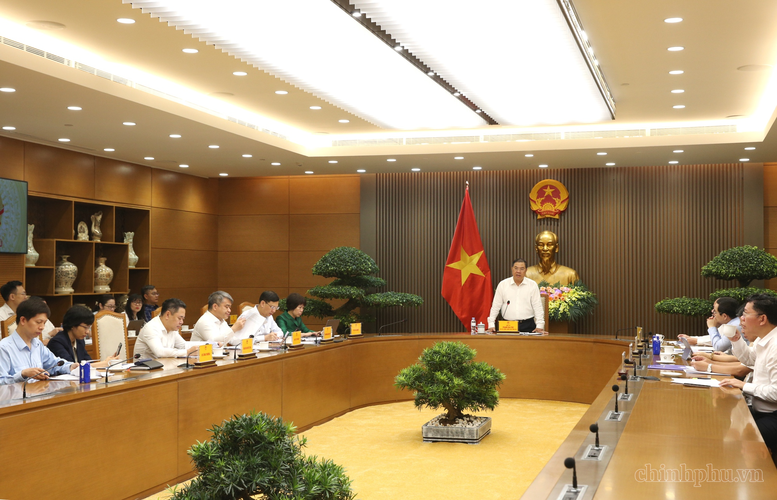 Phó Thủ tướng Thường trực Phạm Gia Túc chỉ đạo hoàn thiện dự thảo Nghị quyết về chỉ tiêu phát triển nhà ở xã hội, nhà ở cho thuê- Ảnh 2.