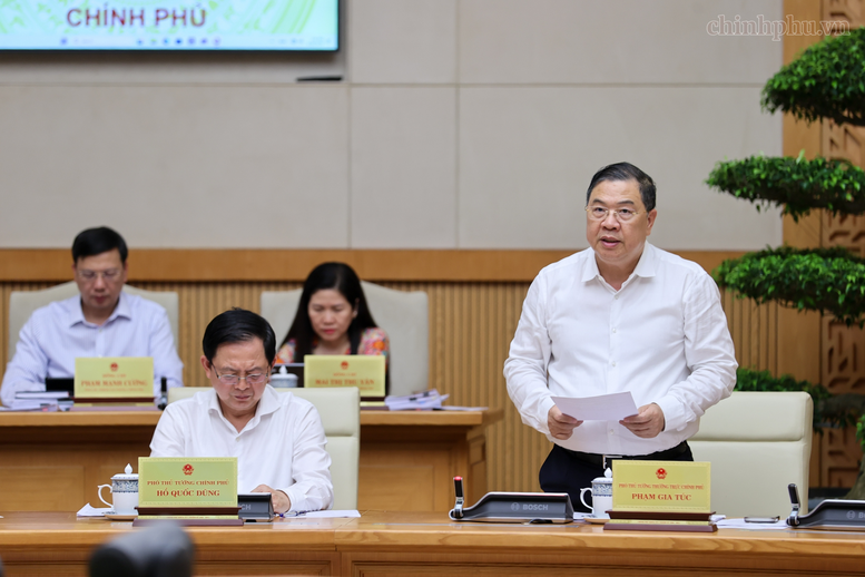 Thủ tướng Lê Minh Hưng: Khẩn trương hoàn thiện 11 dự án luật chuẩn bị trình Quốc hội- Ảnh 4.