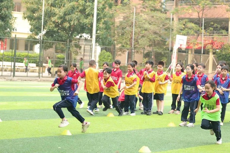 Quy chế tổ chức, hoạt động của trường phổ thông năng khiếu nghệ thuật, thể dục, thể thao- Ảnh 1.