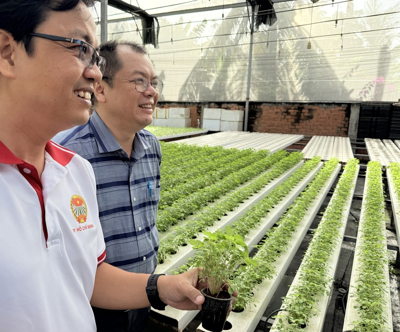 Mở rộng cánh cửa sản xuất rau an toàn cho nông hộ nhỏ- Ảnh 1.