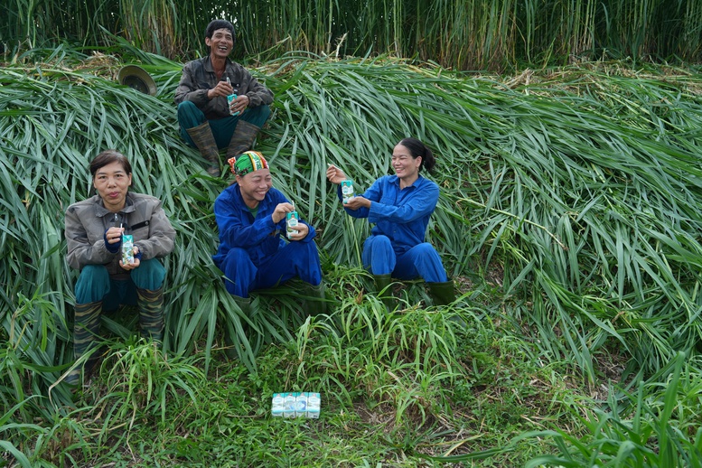 'Thổ nhưỡng vàng' Tuyên Quang làm nên chất lượng sữa tươi Kun- Ảnh 3.