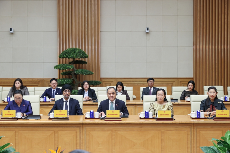 Thủ tướng Lê Minh Hưng tiếp Đại sứ, Đại biện các nước ASEAN- Ảnh 5.