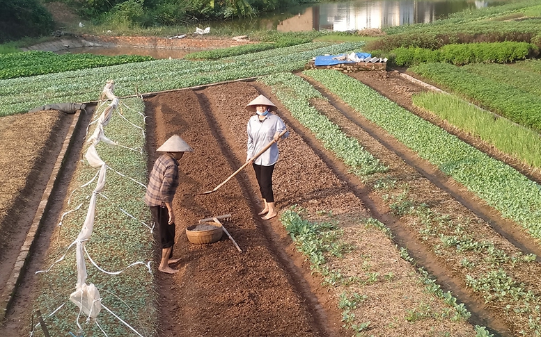 Điều kiện hỗ trợ đào tạo nghề khi thu hồi đất nông nghiệp