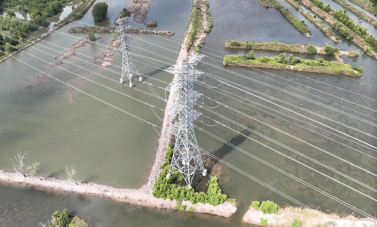 Hoàn thành dự án TBA 220kV Năm Căn và đường dây 220kV Năm Căn - Cà Mau 2- Ảnh 1.