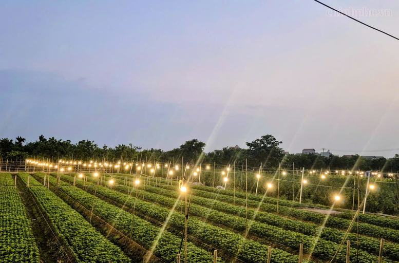 Xây dựng nông thôn mới Thủ đô: Từ bộ tiêu chí mới đến khát vọng hiện đại- Ảnh 2.