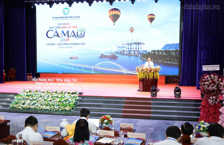 'Cà Mau - Cực tăng trưởng mới' phải trở thành cam kết hành động để thu hút đầu tư- Ảnh 3.