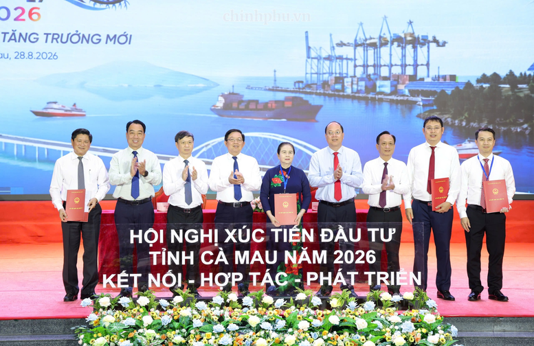 'Cà Mau - Cực tăng trưởng mới' phải trở thành cam kết hành động để thu hút đầu tư- Ảnh 5.