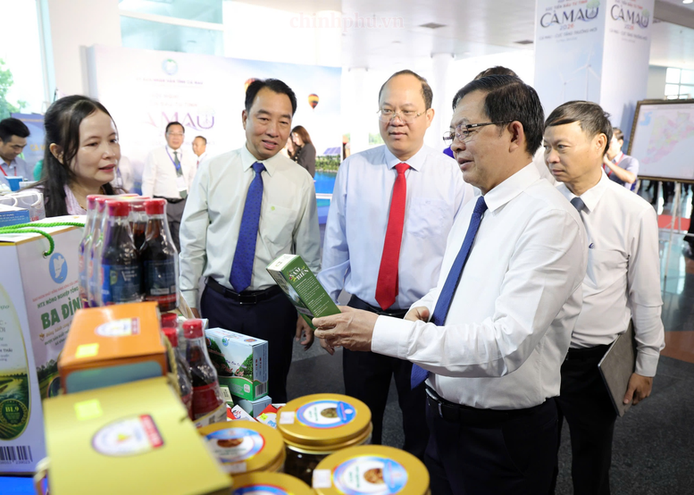 'Cà Mau - Cực tăng trưởng mới' phải trở thành cam kết hành động để thu hút đầu tư- Ảnh 8.