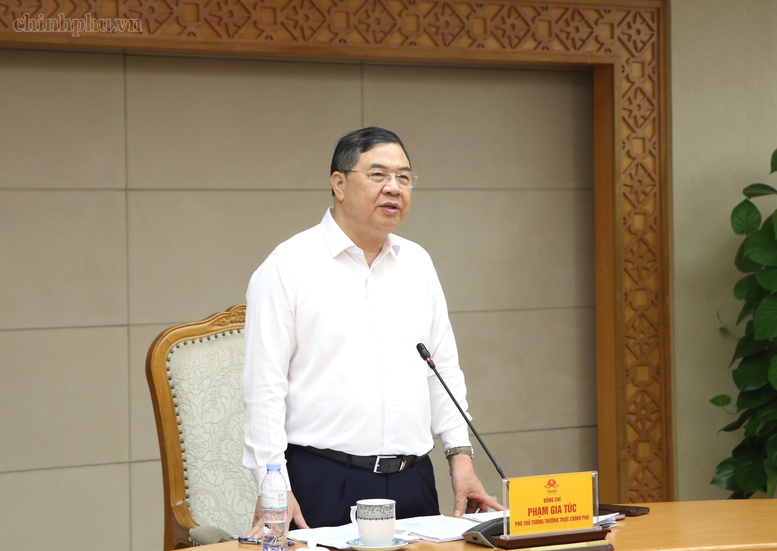 Phó Thủ tướng Thường trực Phạm Gia Túc chủ trì cuộc họp về sửa nghị định liên quan đến cơ quan Việt Nam ở nước ngoài- Ảnh 2.