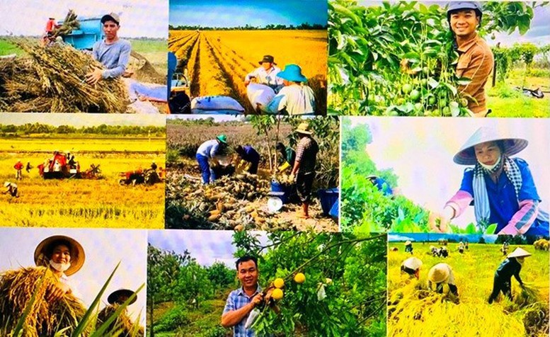 Đề xuất chính sách phát triển kinh tế nông thôn, đa dạng hóa sinh kế, việc làm- Ảnh 1.