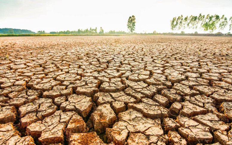 Chủ động ứng phó trước nguy cơ El Nino cường độ mạnh
