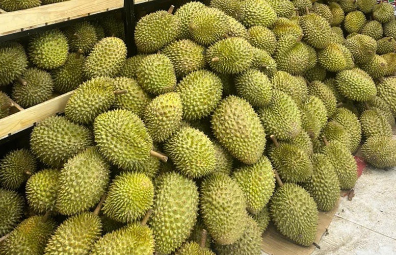 Nỗ lực để biến cơ hội bên ngoài trở thành nguồn lực phát triển- Ảnh 3.