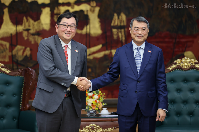 Thủ tướng Chính phủ tiếp Đại sứ Malaysia: Sớm đưa kim ngạch thương mại song phương đạt 20 tỷ USD- Ảnh 1.