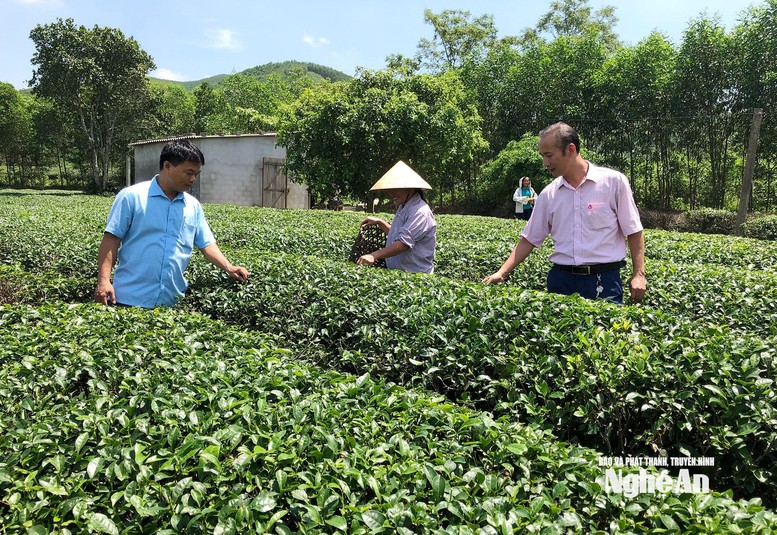Tín dụng chính sách khẳng định vai trò trụ cột an sinh- Ảnh 1.