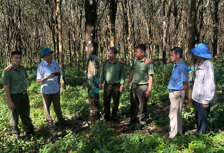 Quy định về nguyên tắc kết hợp an ninh với kinh tế - xã hội- Ảnh 1.