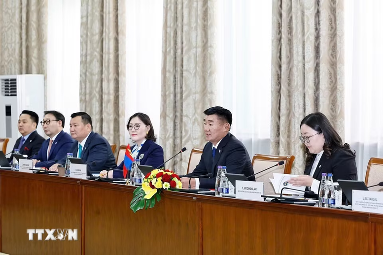 Chủ tịch Quốc hội Trần Thanh Mẫn hội đàm với Chủ tịch Quốc hội Mông Cổ- Ảnh 3.