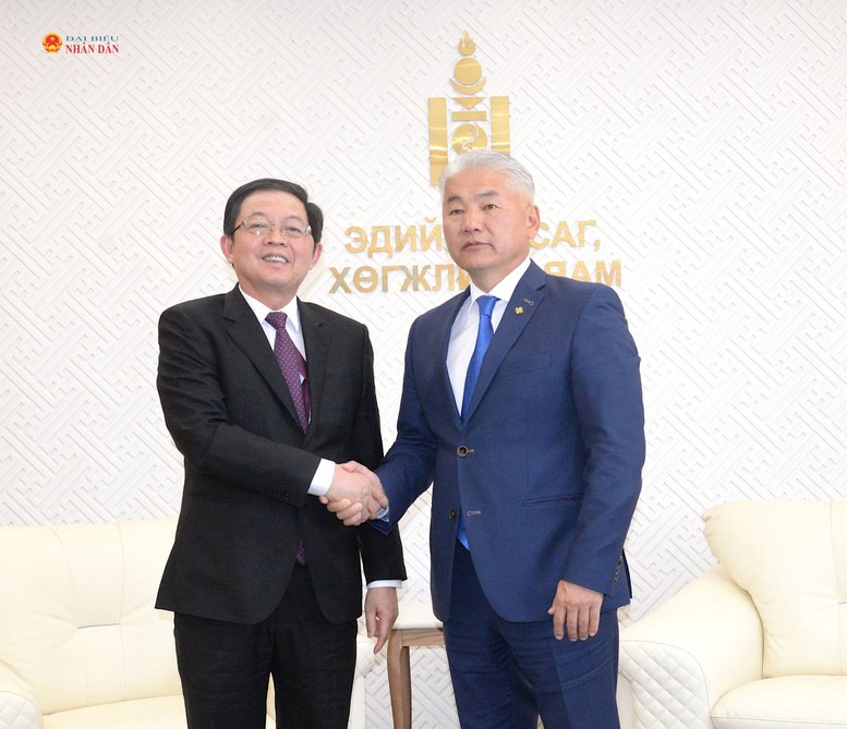 Phó Thủ tướng Hồ Quốc Dũng làm việc với Phó Thủ tướng Thường trực Mông Cổ- Ảnh 1.