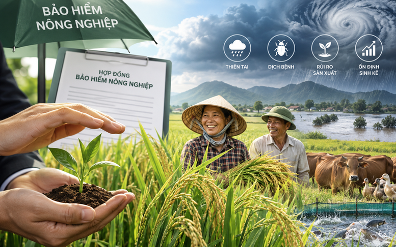 Tăng mức hỗ trợ phí bảo hiểm cho người sản xuất nông nghiệp