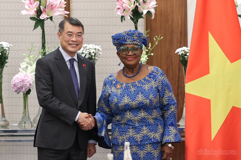 Tổng Giám đốc WTO: Các chỉ số phản ánh năng lực quản trị kinh tế vĩ mô rất tốt của Chính phủ Việt Nam- Ảnh 1.