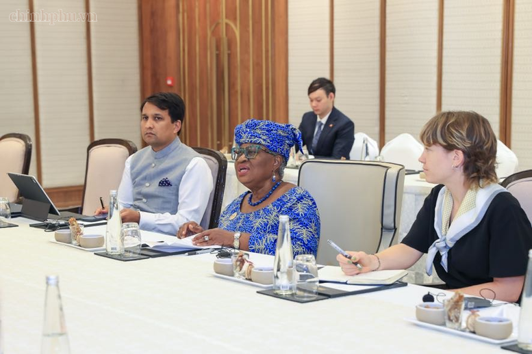 Tổng Giám đốc WTO: Các chỉ số phản ánh năng lực quản trị kinh tế vĩ mô rất tốt của Chính phủ Việt Nam- Ảnh 3.