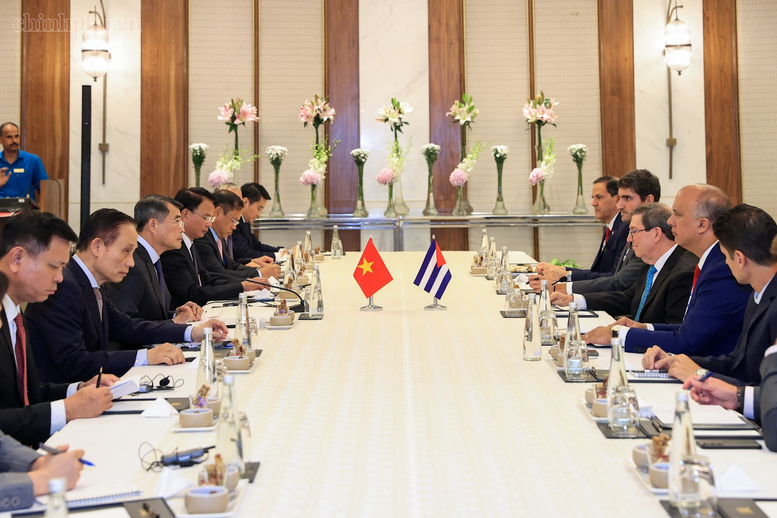 Thủ tướng Lê Minh Hưng tiếp Bộ trưởng Ngoại giao Cuba- Ảnh 2.