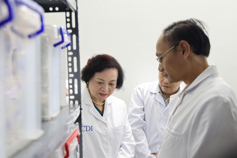 Phó Thủ tướng Phạm Thị Thanh Trà kiểm tra công tác giám định ADN, xác định danh tính hài cốt liệt sĩ- Ảnh 2.