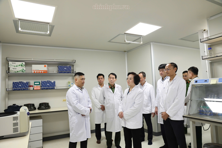 Phó Thủ tướng Phạm Thị Thanh Trà kiểm tra công tác giám định ADN, xác định danh tính hài cốt liệt sĩ- Ảnh 3.