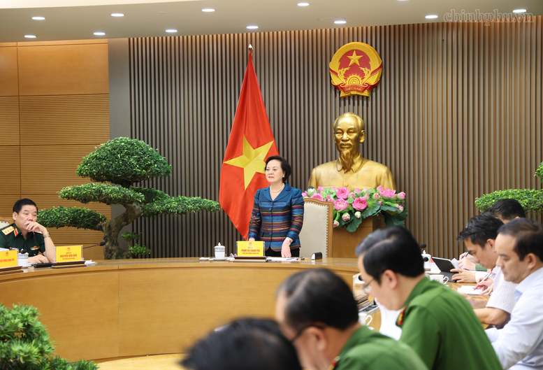 Phó Thủ tướng Phạm Thị Thanh Trà: Tháo gỡ điểm nghẽn, đẩy nhanh giám định ADN hài cốt liệt sĩ- Ảnh 1.