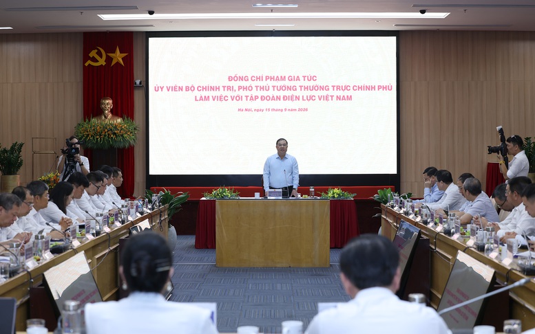 Phó Thủ tướng Thường trực Phạm Gia Túc: EVN phải giữ vai trò nòng cốt trong bảo đảm an ninh năng lượng- Ảnh 8.