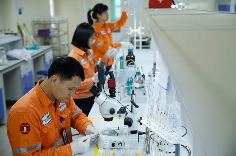 Từ tài nguyên đến công nghệ: Masan High-Tech Materials và hướng đi mới của công nghiệp vật liệu Việt Nam- Ảnh 3.