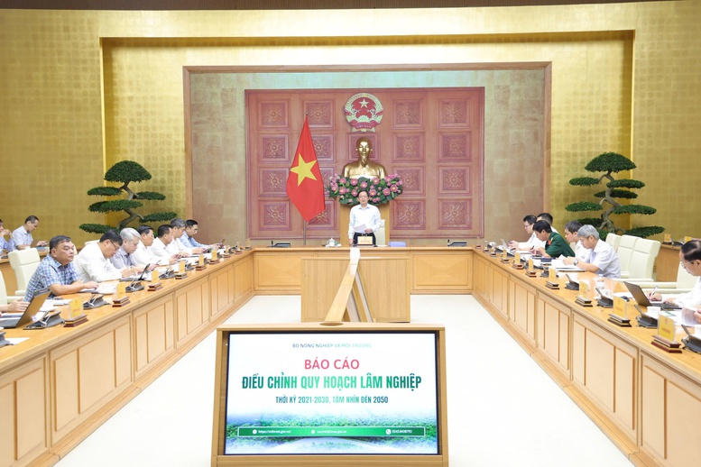 Quy hoạch lâm nghiệp phải thống nhất, sát thực tiễn, bảo đảm sinh kế người dân- Ảnh 6.
