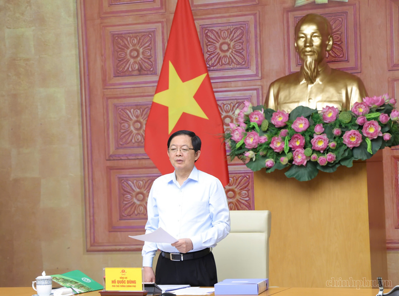 Quy hoạch lâm nghiệp phải thống nhất, sát thực tiễn, bảo đảm sinh kế người dân- Ảnh 1.
