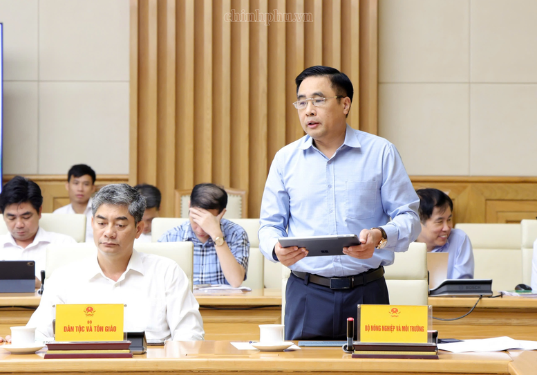 Quy hoạch lâm nghiệp phải thống nhất, sát thực tiễn, bảo đảm sinh kế người dân- Ảnh 5.