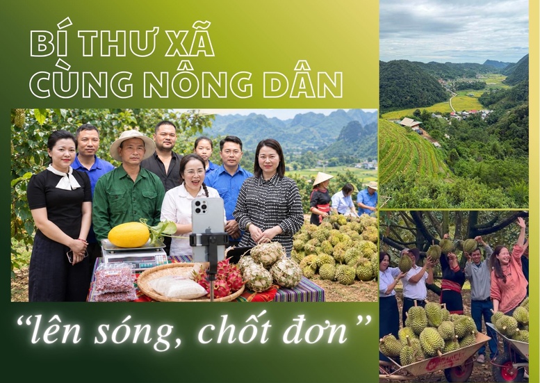 Bí thư xã cùng nông dân ‘lên sóng, chốt đơn’- Ảnh 1.