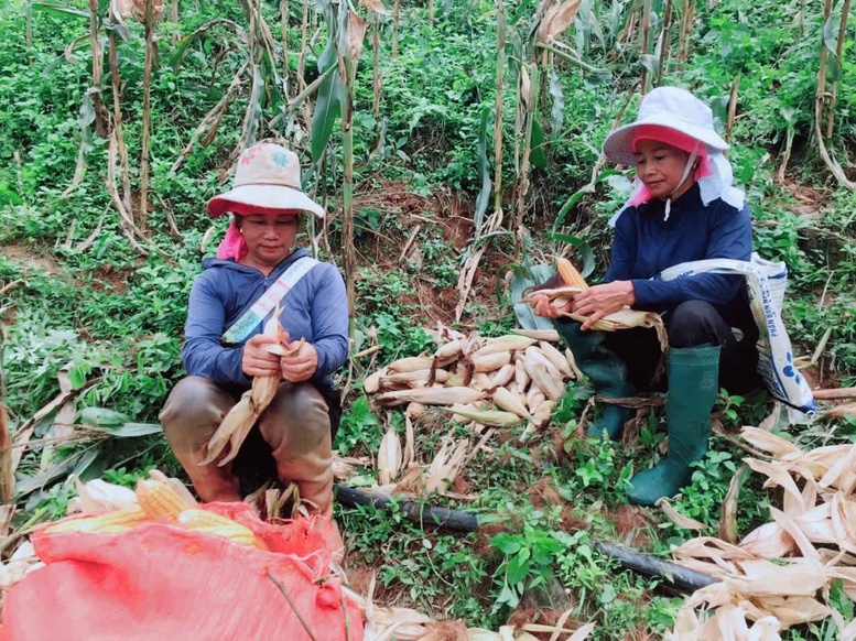 Nói không với tảo hôn - Quyết tâm ở một xã vùng cao- Ảnh 5.