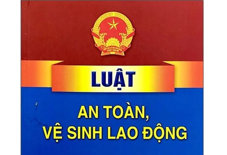 Chính phủ thông qua dự án Luật sửa đổi, bổ sung một số điều của Luật An toàn, vệ sinh lao động- Ảnh 1.