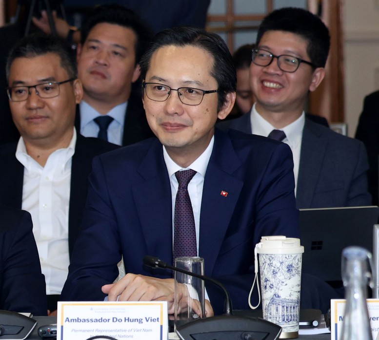 Đại sứ Đỗ Hùng Việt: Việt Nam đóng góp ngày càng thực chất vào hợp tác đa phương- Ảnh 1.