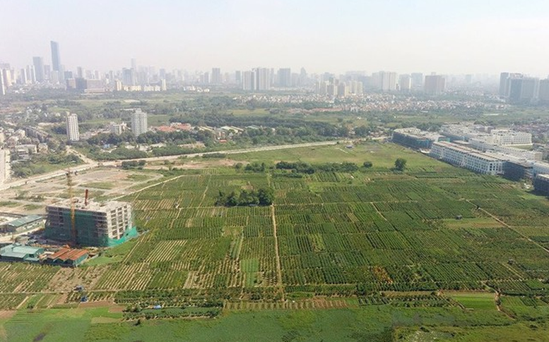 Căn cứ quy hoạch nào để thực hiện thủ tục đất đai?