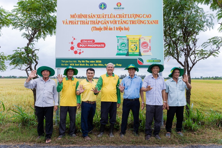 Hiệu quả kép từ mô hình canh tác lúa chất lượng cao, phát thải thấp tại Đồng Tháp- Ảnh 1.