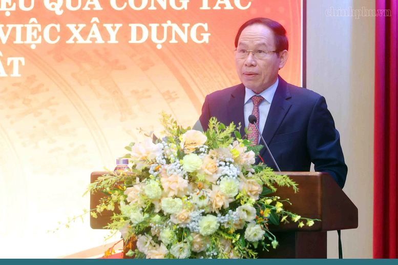Tổ chức thi hành pháp luật chuyên nghiệp, ổn định, thích ứng linh hoạt với thực tiễn- Ảnh 1.