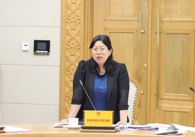 Phó Thủ tướng Hồ Quốc Dũng: Rà soát kỹ các chính sách trong dự thảo Luật Đất đai (sửa đổi)- Ảnh 2.