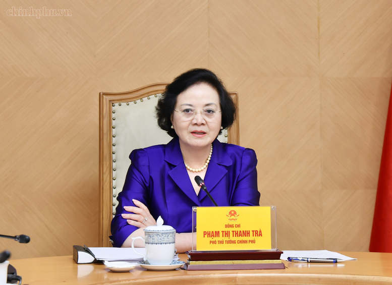 Phó Thủ tướng Phạm Thị Thanh Trà họp về xây dựng Đề án cải cách chính sách tiền lương và BHXH- Ảnh 3.