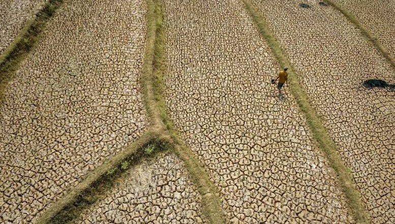 Thế giới trước một đợt El Nino mạnh: Rủi ro khí hậu và kinh tế cùng gia tăng- Ảnh 1.