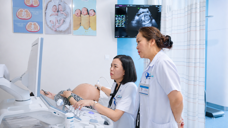Việt Nam cần một mạng lưới y học bào thai, thay vì chỉ những trung tâm mạnh- Ảnh 1.