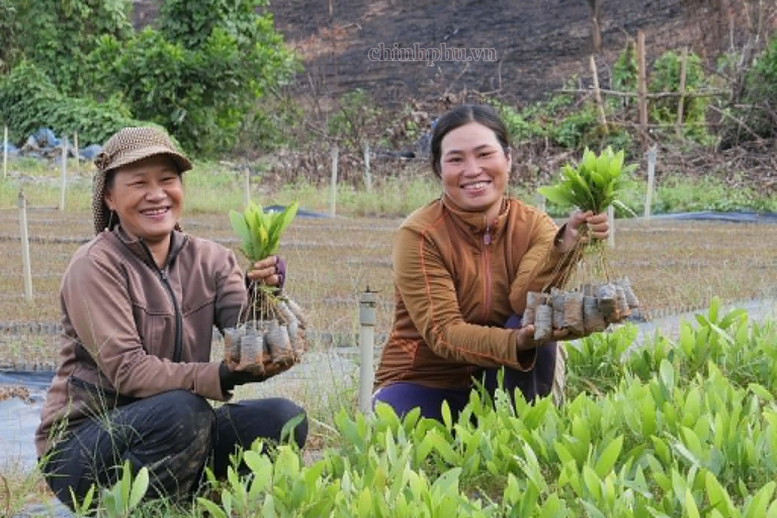 Khoa học công nghệ tạo động lực mới cho xuất khẩu nông sản- Ảnh 1.
