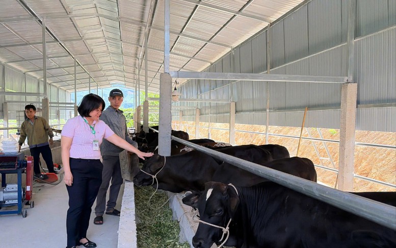 Mở rộng tín dụng chính sách cho các nhóm có nhu cầu đặc thù